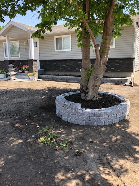 A stone planter built around a mature yard tree
